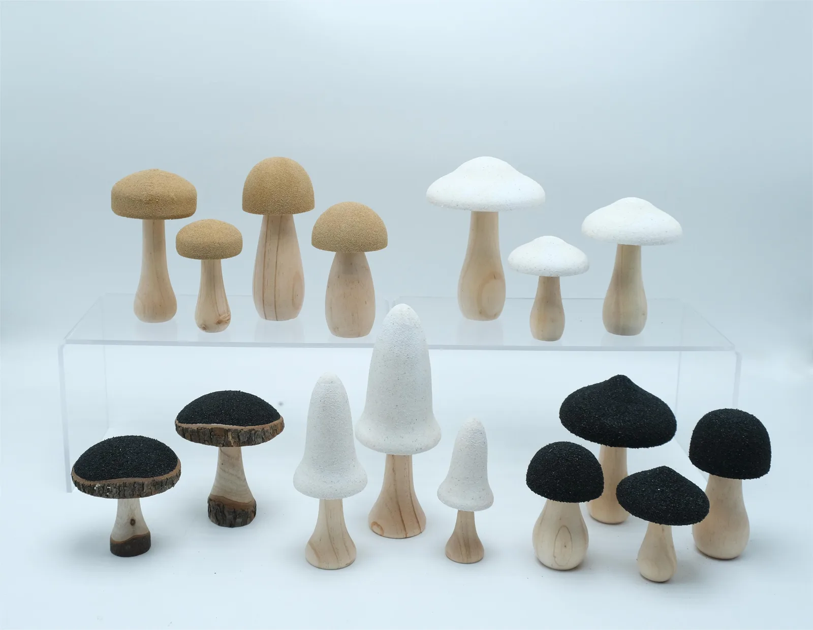 Woodland Mushroom Display Collection