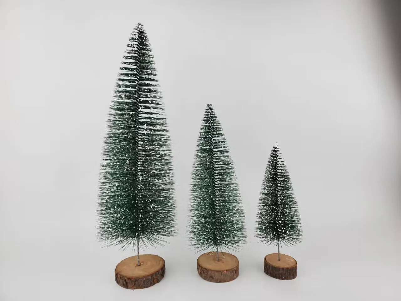 Bottlebrush Tree Collection — view 1