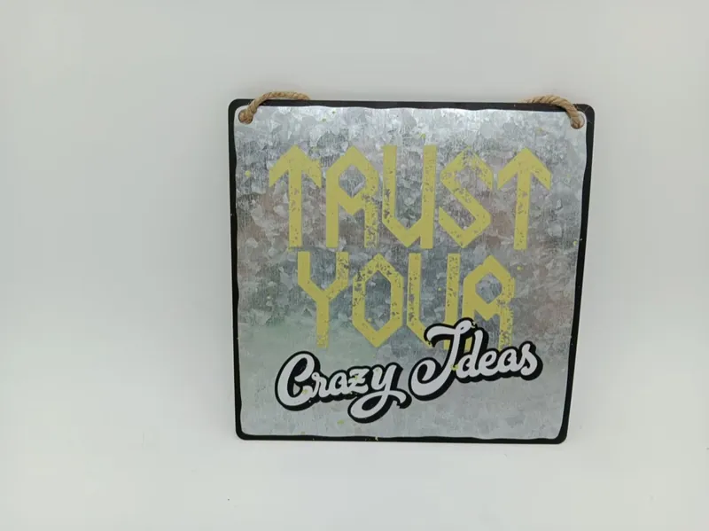 Trust Your Crazy Ideas