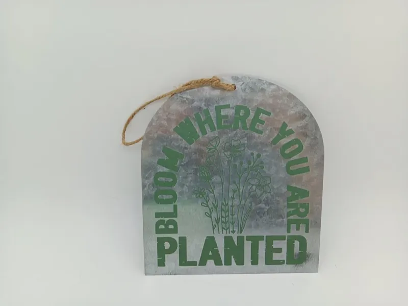 Bloom Where You Are Planted