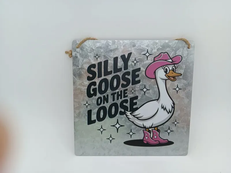 Silly Goose on the Loose